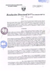 Vista preliminar de documento R.D. Nº 011.pdf