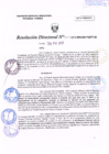 Vista preliminar de documento R.D. Nº 017.pdf