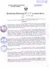 Vista preliminar de documento R.D. Nº 049.pdf