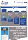 Vista preliminar de documento Boletín : Reporte Estadístico Octubre - Diciembre  2020