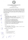 Vista preliminar de documento Acta N° 006-2019
