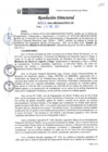 Vista preliminar de documento Resolucion-Directoral-Nro-0024-2021-MIDAGRI-PEBLT-DE.pdf