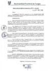 Vista preliminar de documento RGM0029-2019