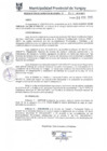 Vista preliminar de documento RGM0062-2019
