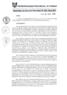 Vista preliminar de documento RGM0096-2019