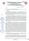 Vista preliminar de documento RESOLUCION 141-2020.pdf.pdf