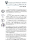 Vista preliminar de documento RGM0111-2019