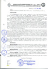 Vista preliminar de documento RD_095_2016