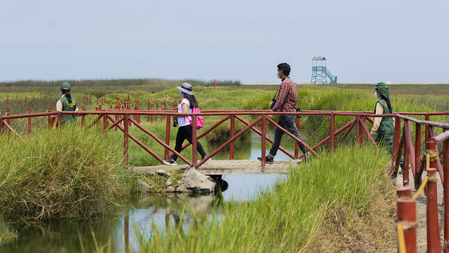 Sendero Aves