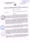 Vista preliminar de documento R.D. Nº 88.pdf
