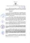Vista preliminar de documento RES-691-2021-GR