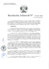 Vista preliminar de documento Resolución Jefatural Nº 246-2021-INEI AUTORIZA EDO 2021