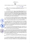 Vista preliminar de documento RES-272-2021-GRDS