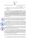 Vista preliminar de documento RES-273-2021-GRDS.pdf