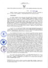 Vista preliminar de documento RES-274-2021-GRDS