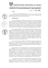 Vista preliminar de documento RGM0217-2019