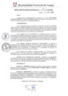 Vista preliminar de documento RGM0243-2019