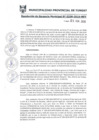 Vista preliminar de documento RGM0338-2019