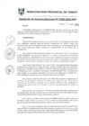 Vista preliminar de documento RGM0358-2019