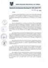 Vista preliminar de documento RGM0387-2019
