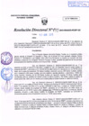 Vista preliminar de documento R.D. Nº 141.pdf