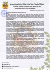 Vista preliminar de documento O.M-N°004-2020/MDCE