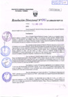 Vista preliminar de documento R.D. Nº 161.pdf