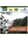 Vista preliminar de documento Bosques de neblina y Páramos de Samanga