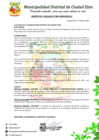 Vista preliminar de documento D.A-N°006-2020-MDCE/A