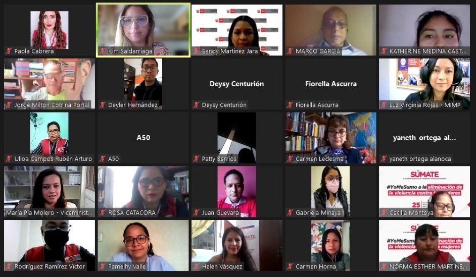 Curso virtual para trabajadores del MIMP