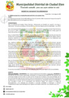 Vista preliminar de documento D.A-N°011-2020-MDCE/A