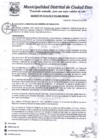Vista preliminar de documento D.A-N°012-2020-MDCE/A