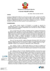 Vista preliminar de documento Resolucion de Coordinacion Ejecutiva N° 020-2021-PMSJMPP-EJEPENAL.pdf