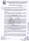 Vista preliminar de documento A.C-N°003-2020-MDCE