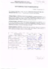Vista preliminar de documento R.D. Nº 206.pdf