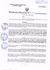 Vista preliminar de documento R.D. Nº 209.pdf