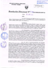 Vista preliminar de documento R.D. Nº 210.pdf
