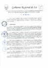 Vista preliminar de documento rer_209_2020_gr
