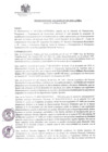 Vista preliminar de documento RA512021