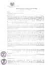 Vista preliminar de documento RA952021