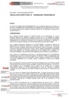 Vista preliminar de documento Resolución Directoral