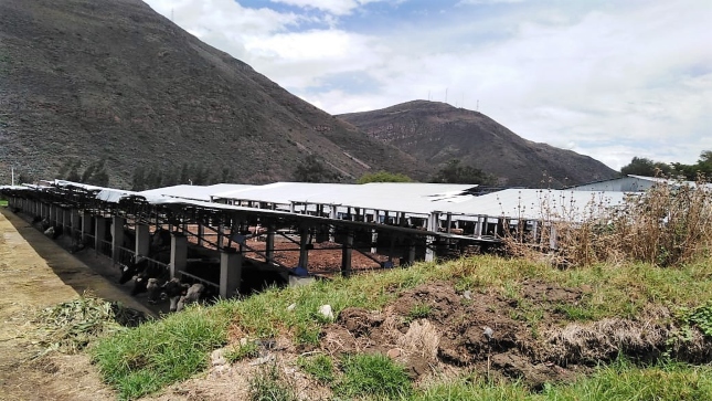 Contraloría alerta riesgos en sembríos del Instituto de investigación Agropecuaria Tingua