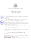 Vista preliminar de documento Nº 001-2011-MPJ - DECLARA EN REESTRUCTURACION Y REORGANIZACIÓN LA MPJ