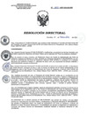 Vista preliminar de documento RD 203-2021-SA-DG-INR.pdf