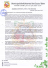 Vista preliminar de documento A.C-N°055-2020-MDCE