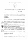 Vista preliminar de documento Resolución Directoral Nacional N° 163-2010-BNP-RDN