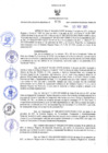 Vista preliminar de documento RES-699-2021-GR