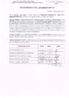 Vista preliminar de documento R.D. Nº 255(FILEminimizer).pdf