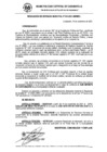 Vista preliminar de documento RG_540-2021.pdf