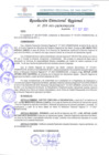 Vista preliminar de documento RDR 233-2021